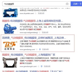 泵業(yè)網(wǎng)站排名優(yōu)化效果